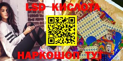 спайс Аргун